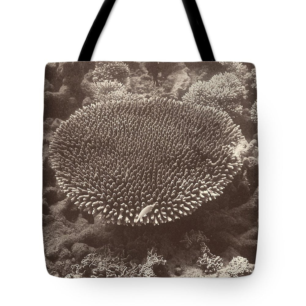 Sepia Barrier Reef Coral II Tote Bag - Casual Bags