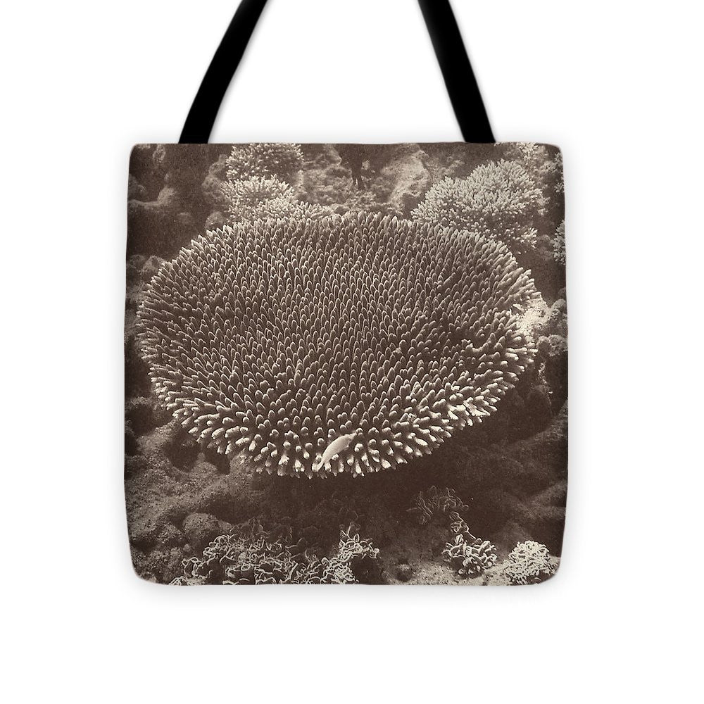 Sepia Barrier Reef Coral II Tote Bag - Casual Bags